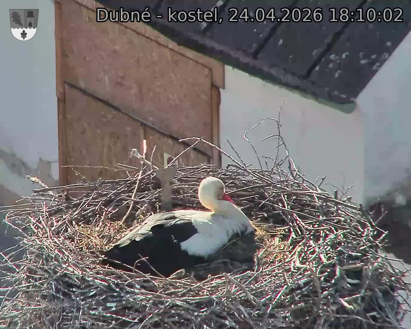 Capi_Dubne_20260424_181002.jpg (1350&nbsp;x&nbsp;1080)