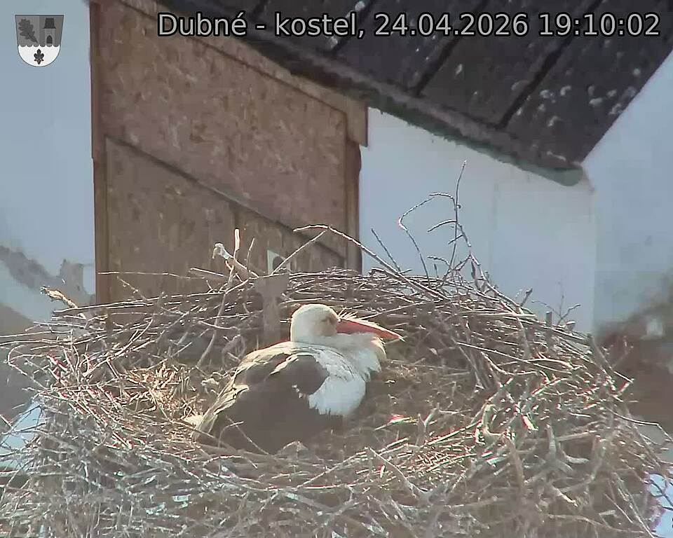 Capi_Dubne_20260424_191002.jpg (1350&nbsp;x&nbsp;1080)