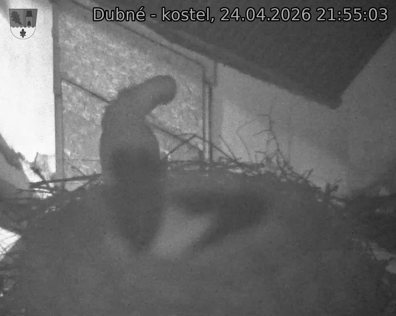 Capi_Dubne_20260424_215503.jpg (1350&nbsp;x&nbsp;1080)
