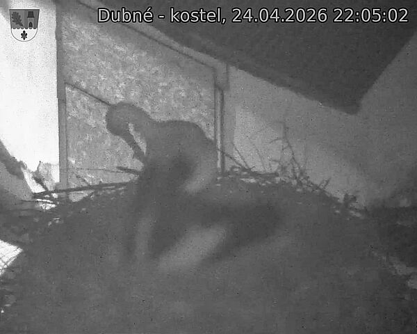 Capi_Dubne_20260424_220502.jpg (1350&nbsp;x&nbsp;1080)