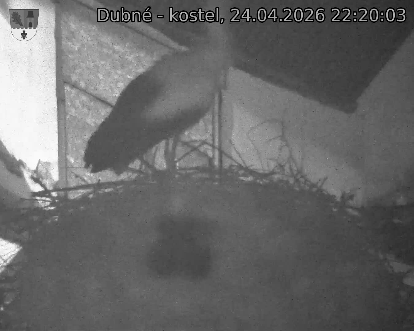 Capi_Dubne_20260424_222003.jpg (1350&nbsp;x&nbsp;1080)