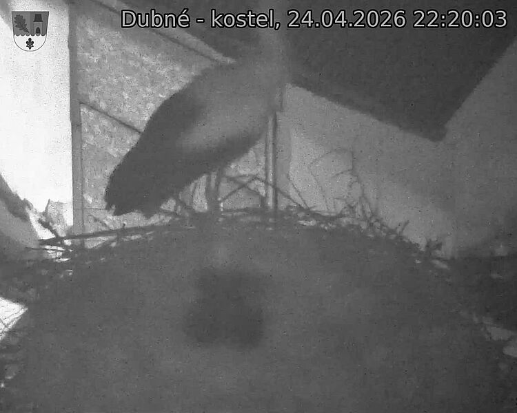 Capi_Dubne_20260424_222003.jpg (1350&nbsp;x&nbsp;1080)