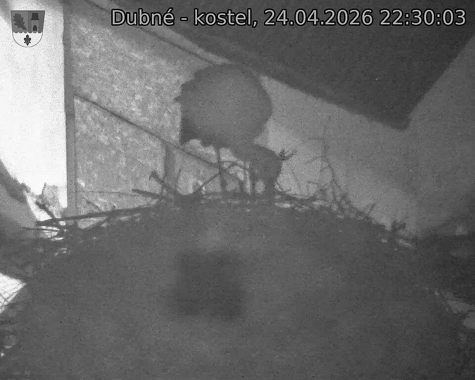 Capi_Dubne_20260424_223003.jpg (1350&nbsp;x&nbsp;1080)