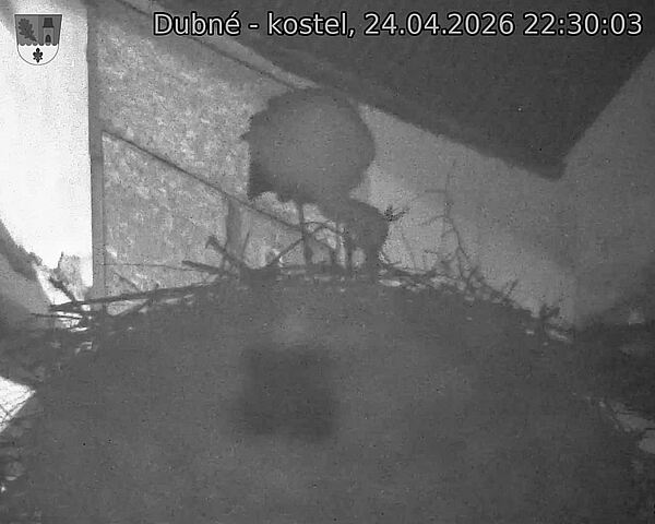 Capi_Dubne_20260424_223003.jpg (1350&nbsp;x&nbsp;1080)