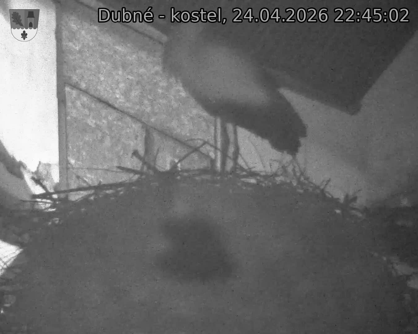 Capi_Dubne_20260424_224502.jpg (1350&nbsp;x&nbsp;1080)