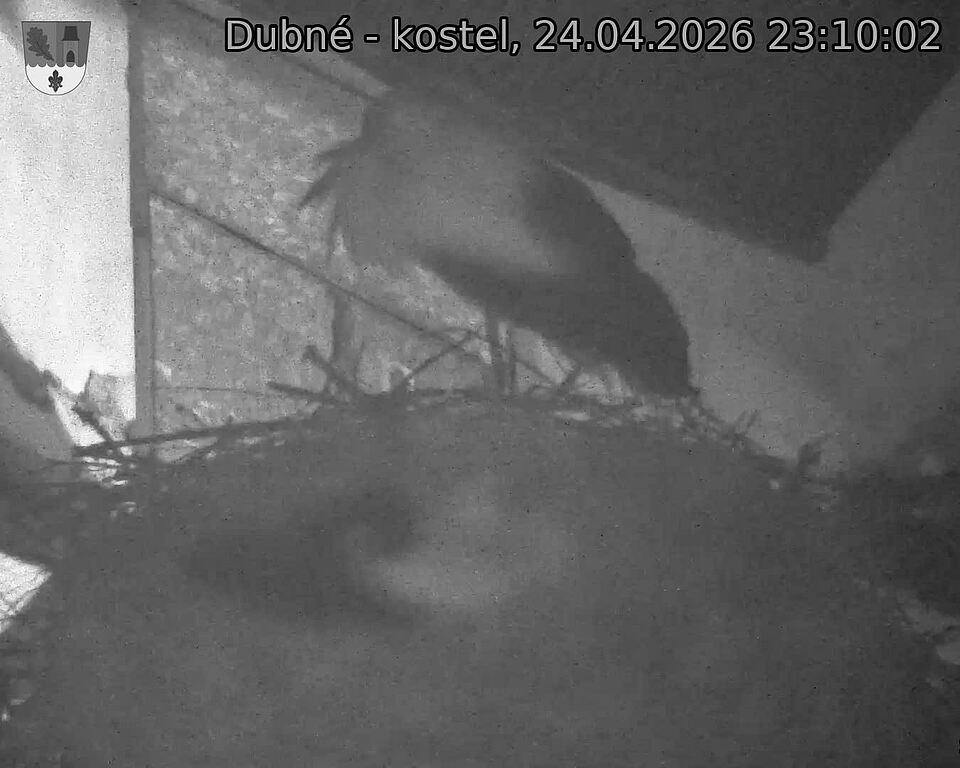 Capi_Dubne_20260424_231002.jpg (1350&nbsp;x&nbsp;1080)