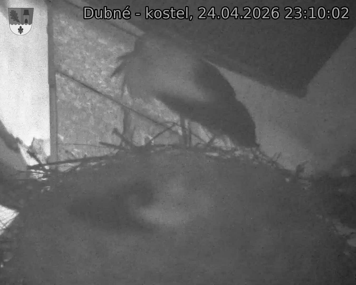 Capi_Dubne_20260424_231002.jpg (1350&nbsp;x&nbsp;1080)