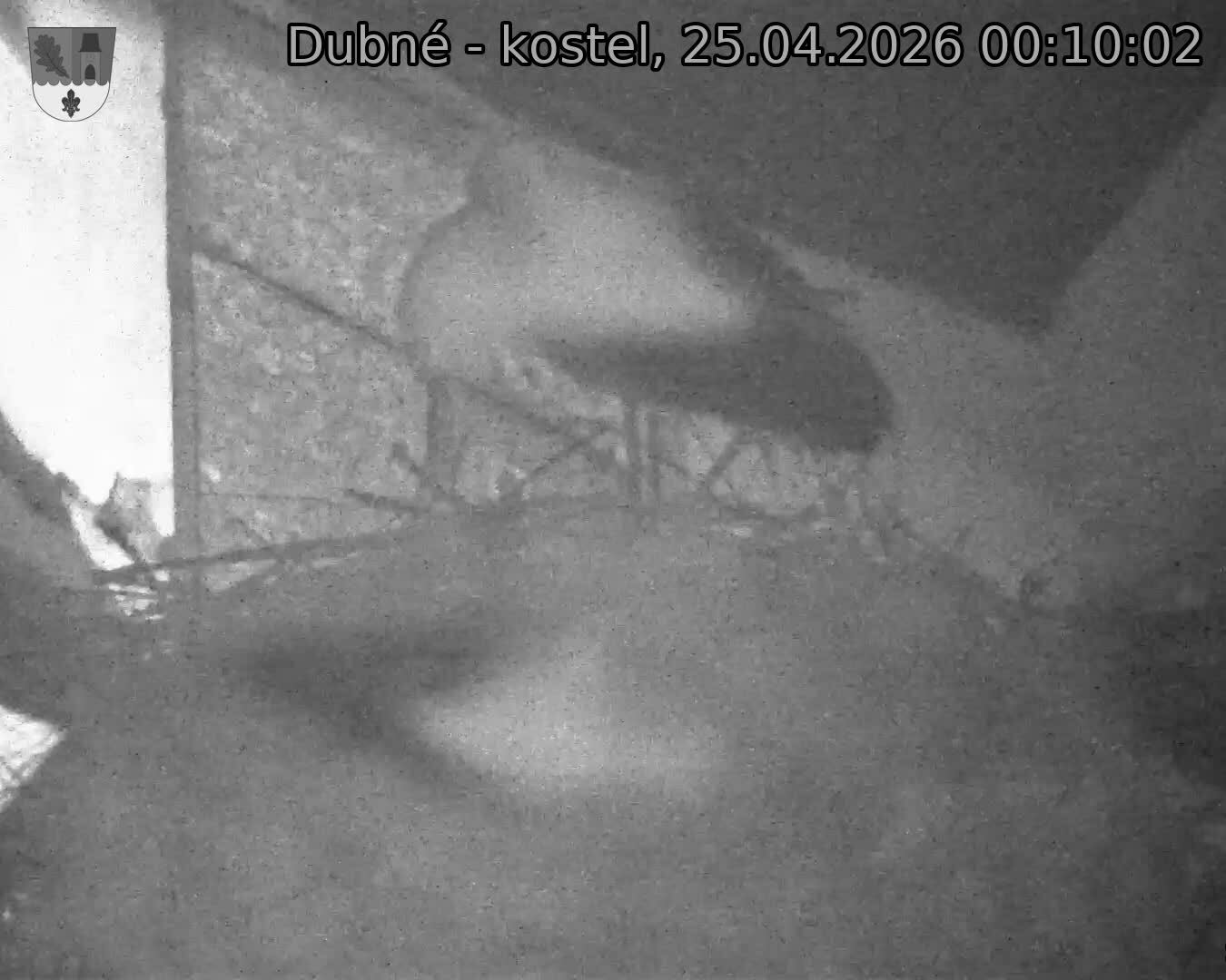 Capi_Dubne_20260425_001002.jpg (1350&nbsp;x&nbsp;1080)