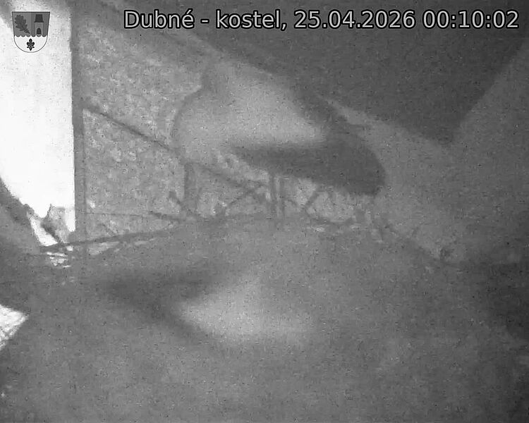Capi_Dubne_20260425_001002.jpg (1350&nbsp;x&nbsp;1080)