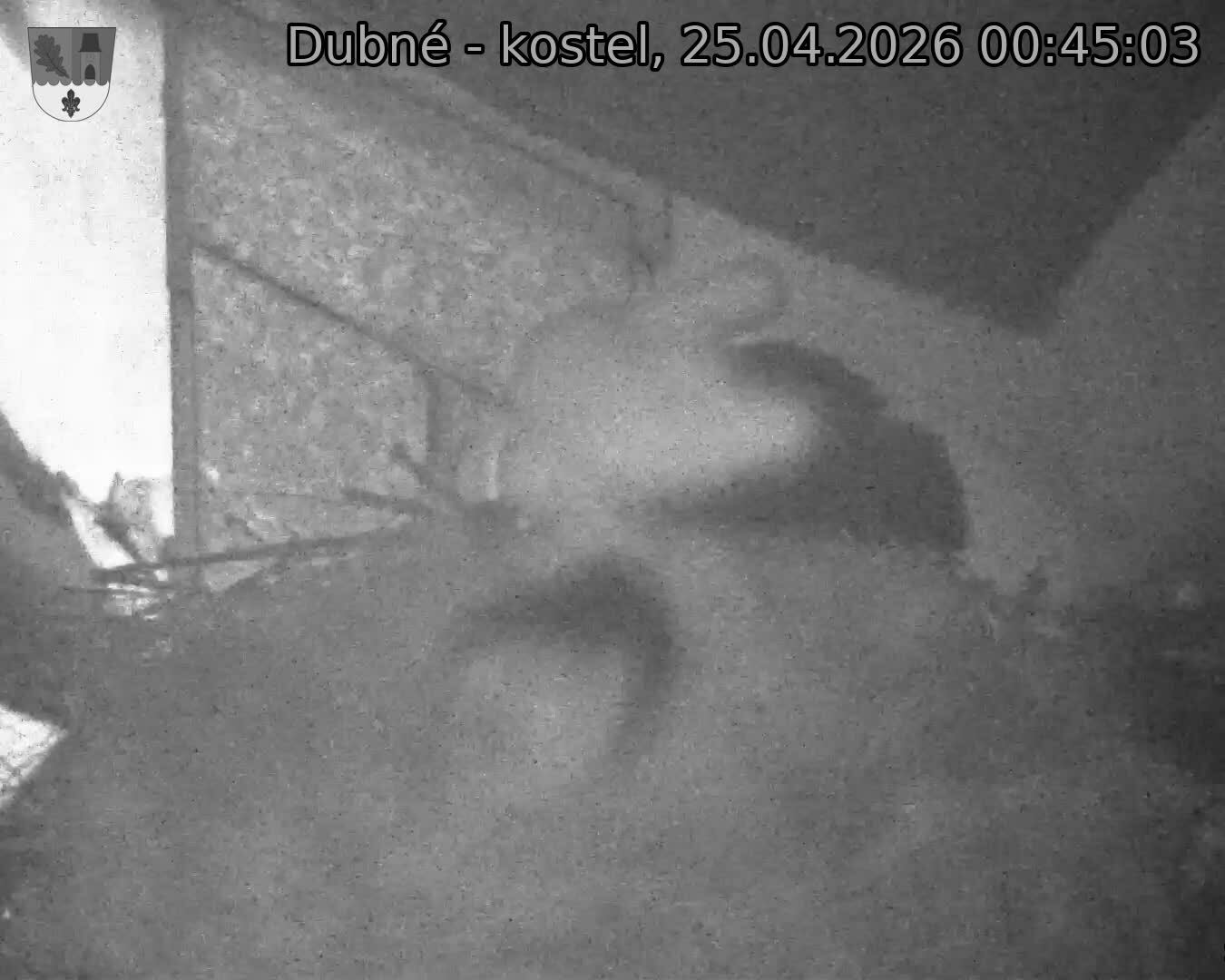 Capi_Dubne_20260425_004503.jpg (1350&nbsp;x&nbsp;1080)