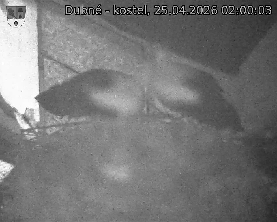 Capi_Dubne_20260425_020003.jpg (1350&nbsp;x&nbsp;1080)