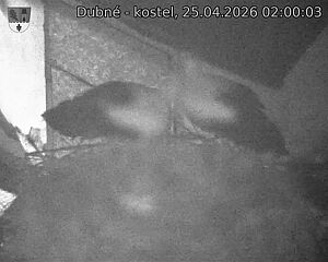 Capi_Dubne_20260425_020003.jpg (1350&nbsp;x&nbsp;1080)