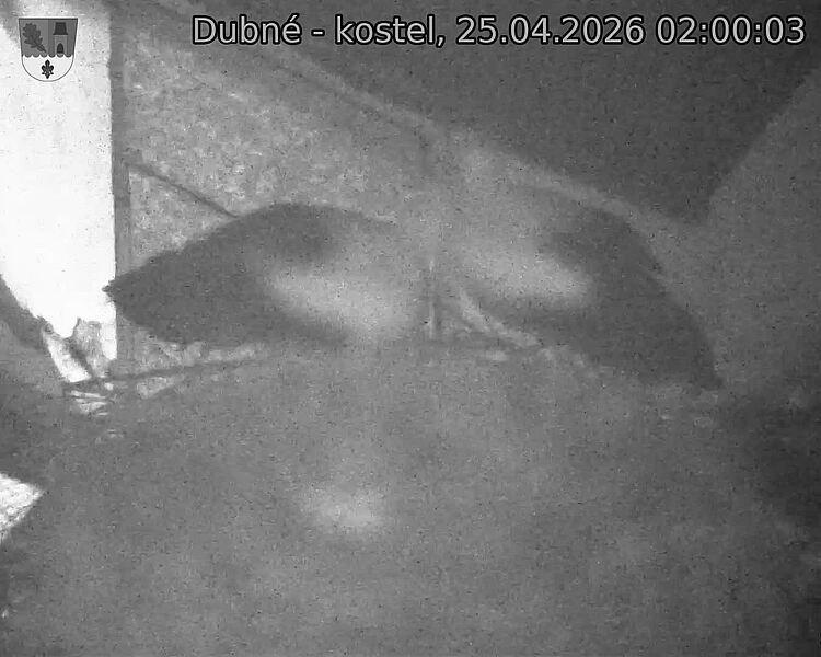 Capi_Dubne_20260425_020003.jpg (1350&nbsp;x&nbsp;1080)