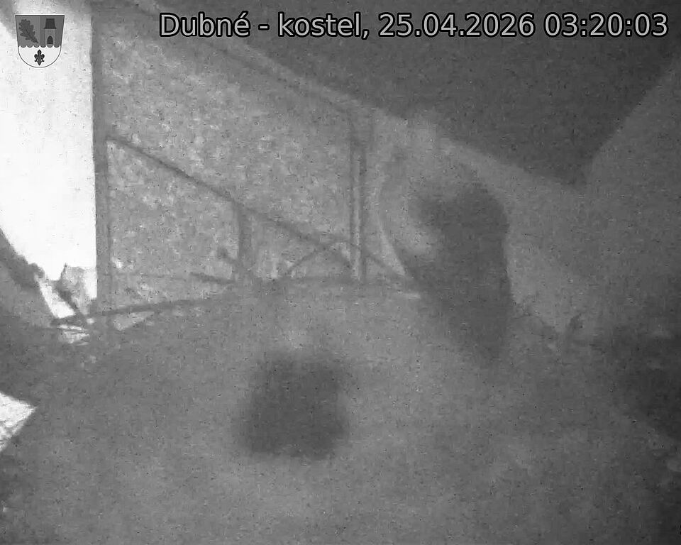 Capi_Dubne_20260425_032003.jpg (1350&nbsp;x&nbsp;1080)