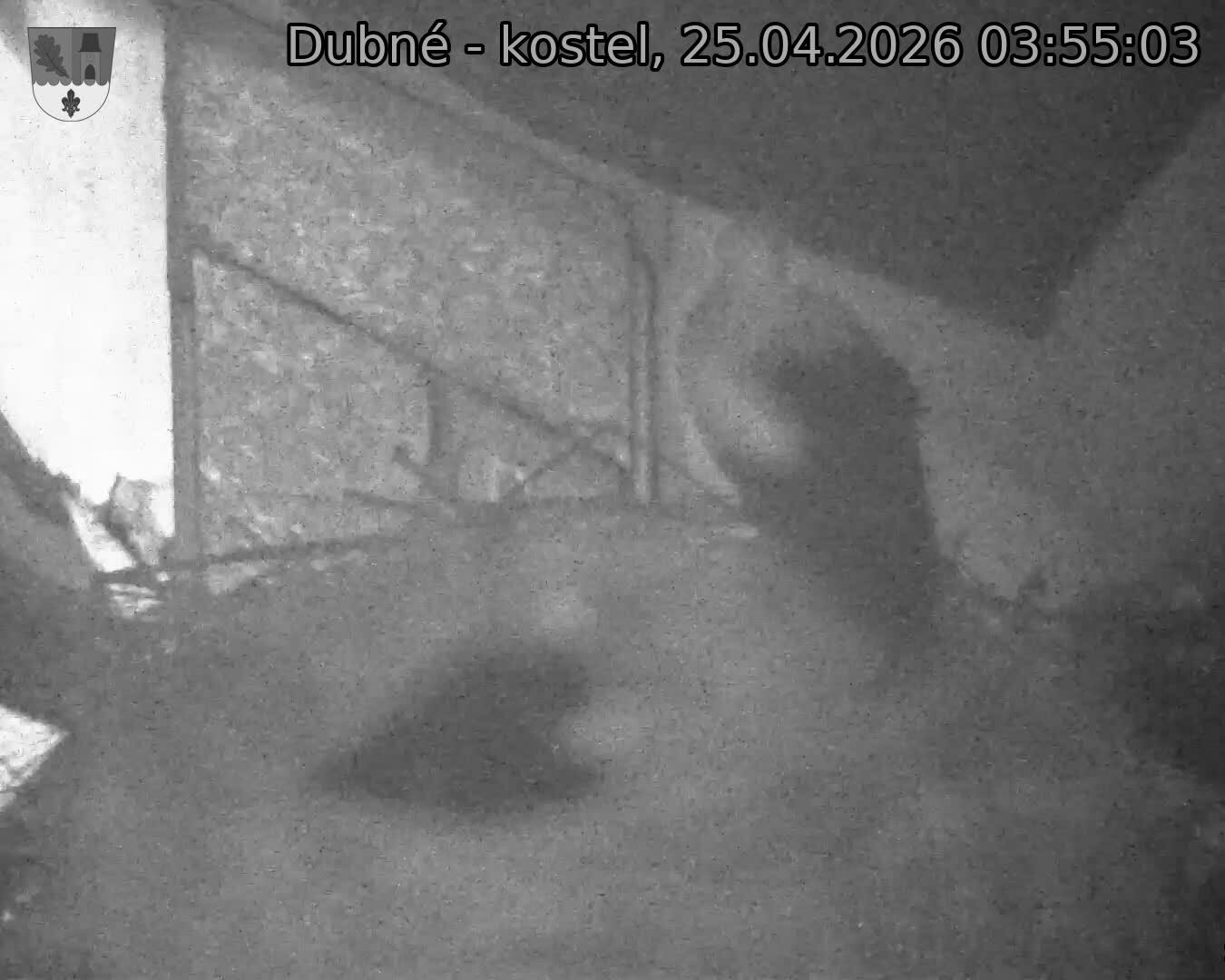 Capi_Dubne_20260425_035503.jpg (1350&nbsp;x&nbsp;1080)