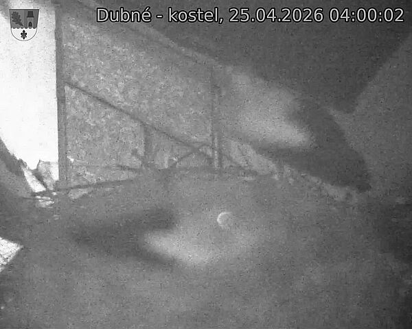 Capi_Dubne_20260425_040002.jpg (1350&nbsp;x&nbsp;1080)