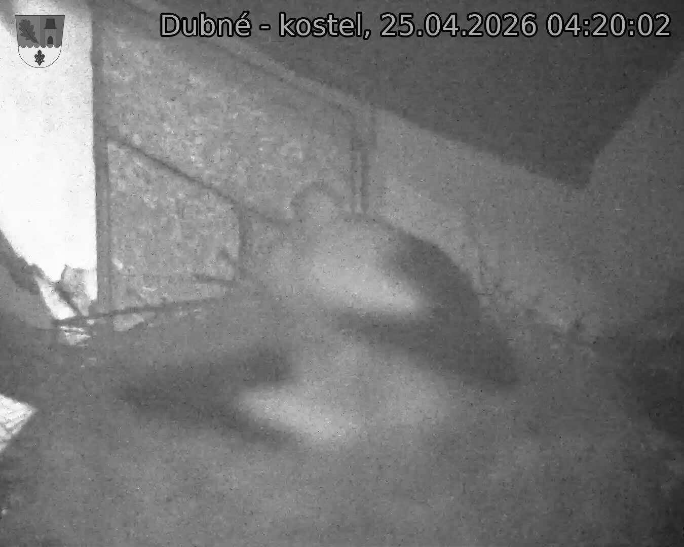 Capi_Dubne_20260425_042002.jpg (1350&nbsp;x&nbsp;1080)