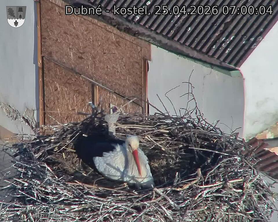 Capi_Dubne_20260425_070004.jpg (1350&nbsp;x&nbsp;1080)