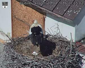 Capi_Dubne_20260425_111502.jpg (1350&nbsp;x&nbsp;1080)