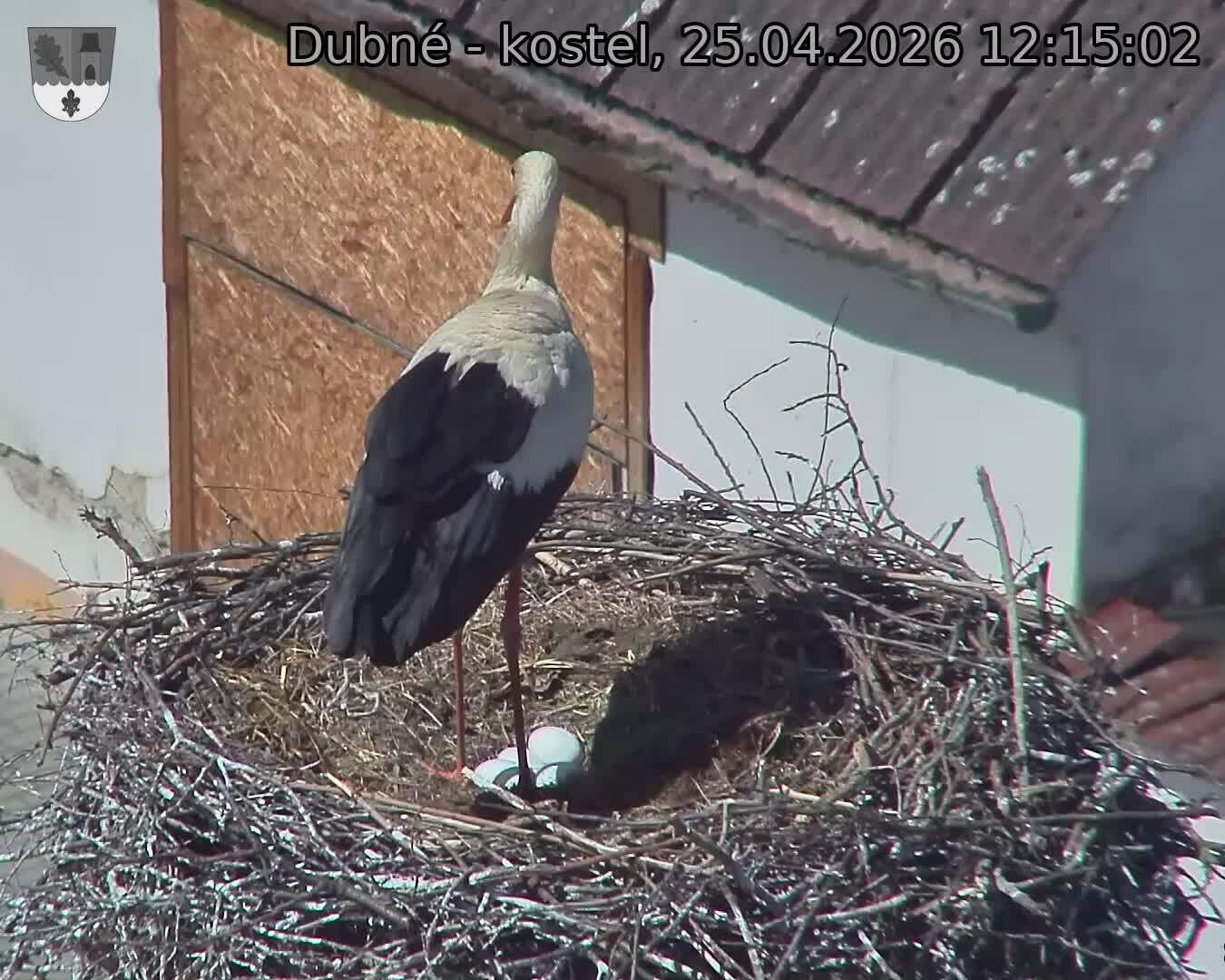 Capi_Dubne_20260425_121502.jpg (1350&nbsp;x&nbsp;1080)