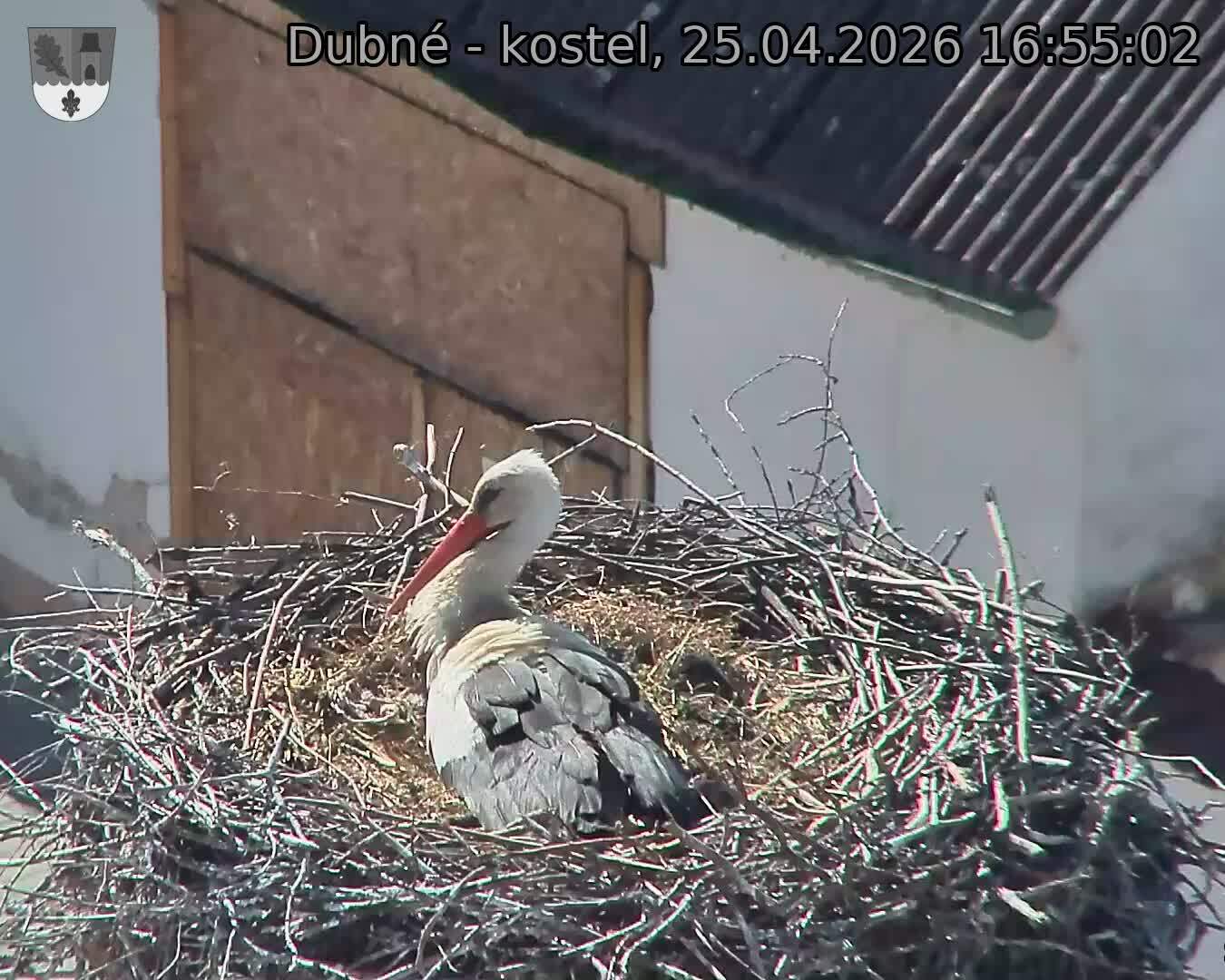 Capi_Dubne_20260425_165502.jpg (1350&nbsp;x&nbsp;1080)