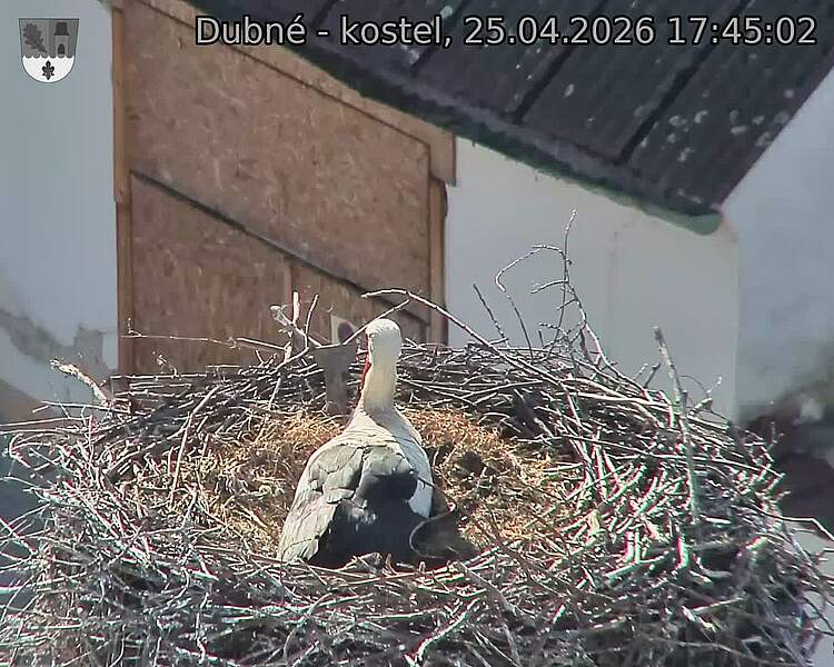 Capi_Dubne_20260425_174502.jpg (1350&nbsp;x&nbsp;1080)