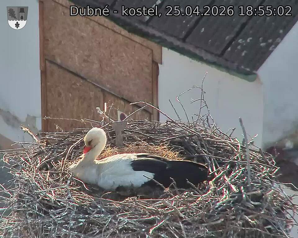 Capi_Dubne_20260425_185502.jpg (1350&nbsp;x&nbsp;1080)