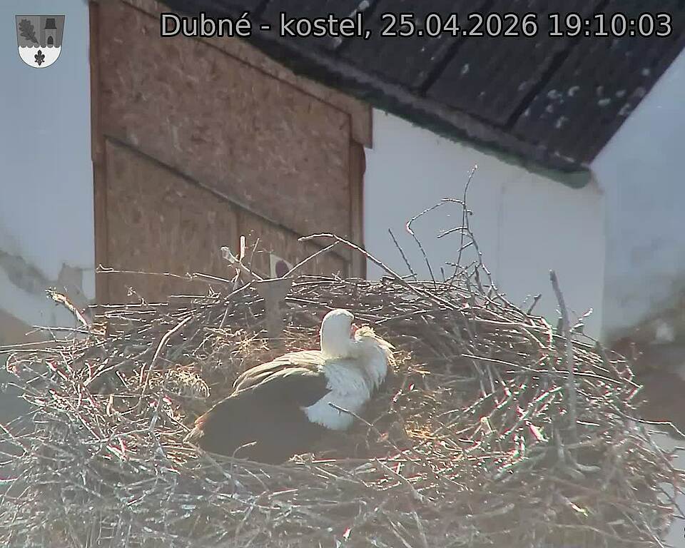 Capi_Dubne_20260425_191003.jpg (1350&nbsp;x&nbsp;1080)