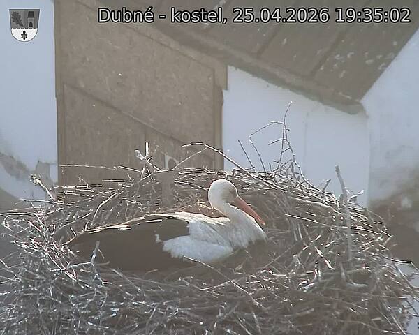 Capi_Dubne_20260425_193502.jpg (1350&nbsp;x&nbsp;1080)