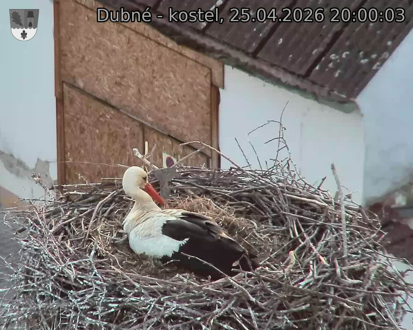 Capi_Dubne_20260425_200003.jpg (1350&nbsp;x&nbsp;1080)