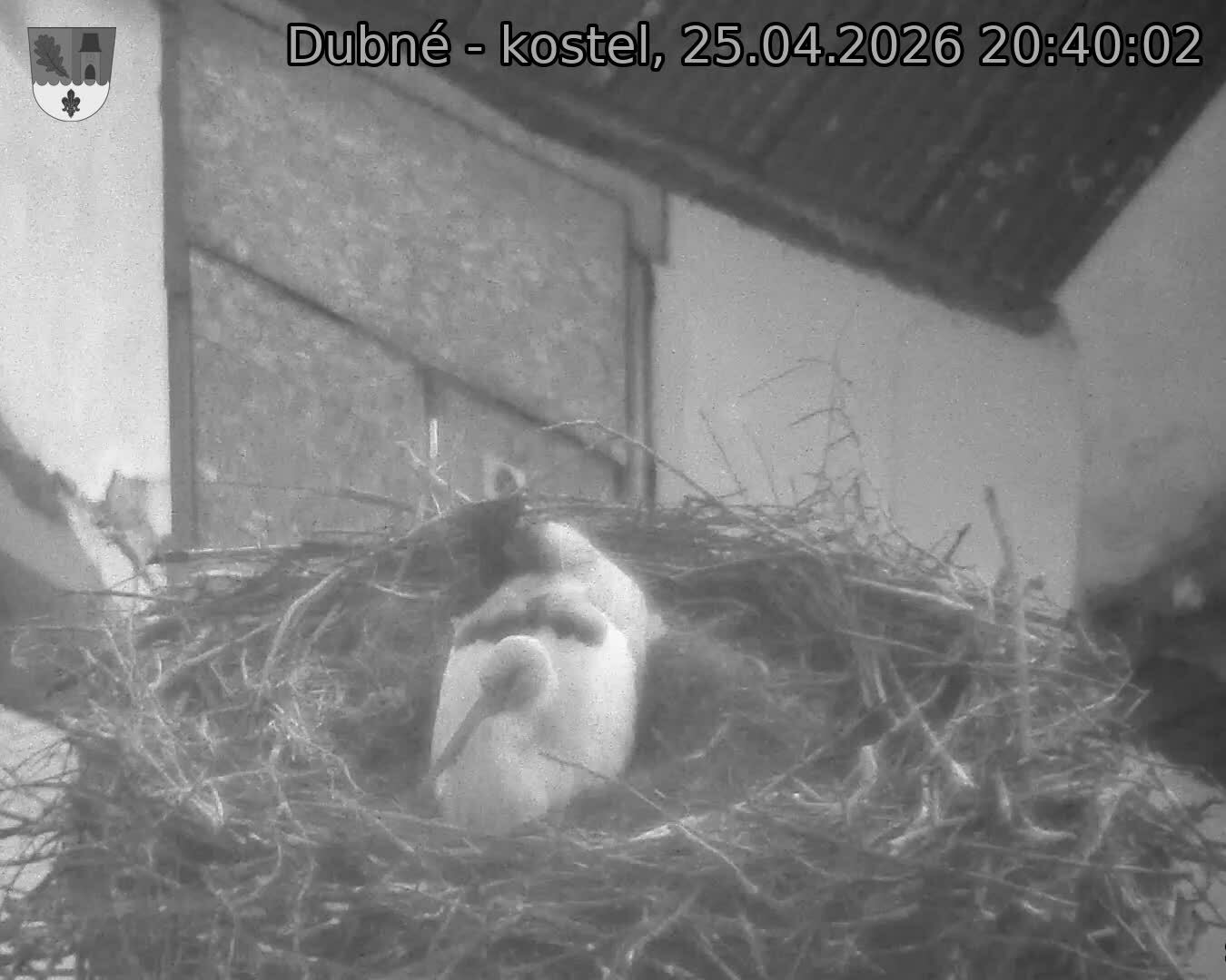 Capi_Dubne_20260425_204002.jpg (1350&nbsp;x&nbsp;1080)