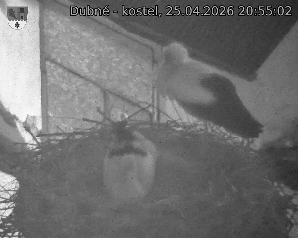 Capi_Dubne_20260425_205502.jpg (1350&nbsp;x&nbsp;1080)