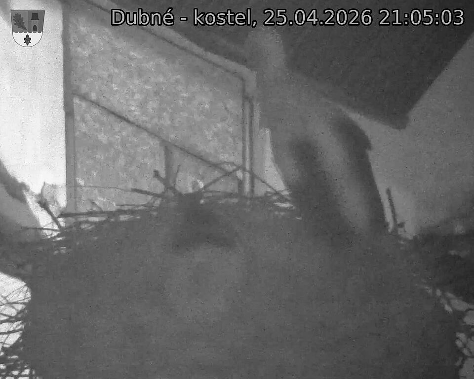 Capi_Dubne_20260425_210503.jpg (1350&nbsp;x&nbsp;1080)