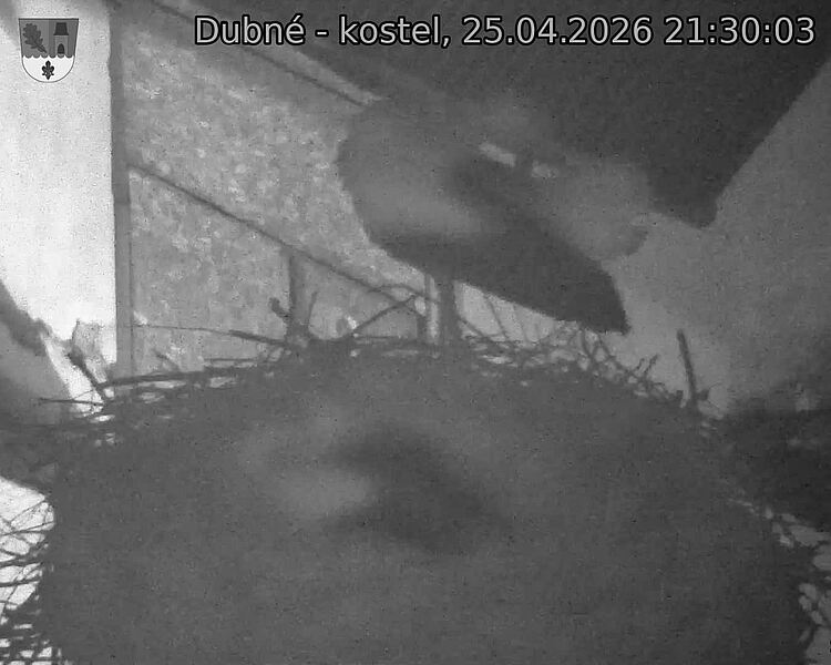 Capi_Dubne_20260425_213003.jpg (1350&nbsp;x&nbsp;1080)
