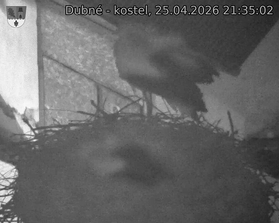 Capi_Dubne_20260425_213502.jpg (1350&nbsp;x&nbsp;1080)