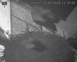 Capi_Dubne_20260425_213502.jpg (1350&nbsp;x&nbsp;1080)