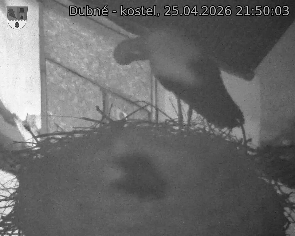 Capi_Dubne_20260425_215003.jpg (1350&nbsp;x&nbsp;1080)