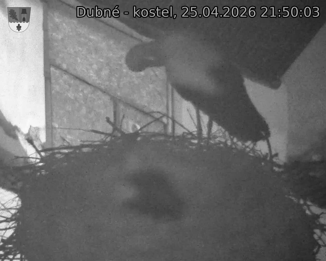 Capi_Dubne_20260425_215003.jpg (1350&nbsp;x&nbsp;1080)