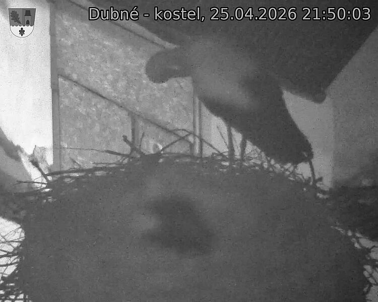 Capi_Dubne_20260425_215003.jpg (1350&nbsp;x&nbsp;1080)