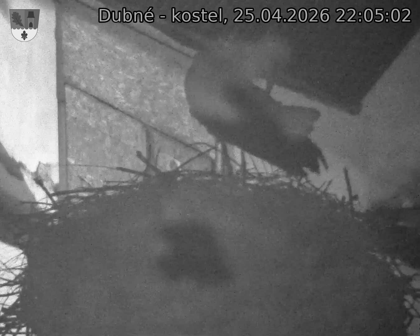 Capi_Dubne_20260425_220502.jpg (1350&nbsp;x&nbsp;1080)