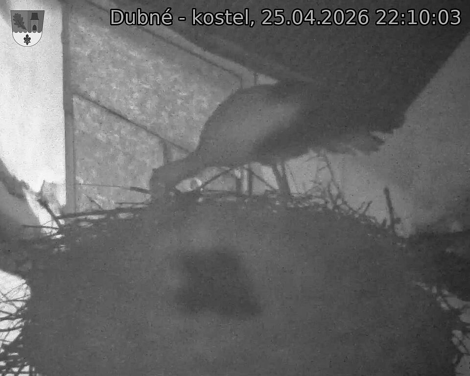 Capi_Dubne_20260425_221003.jpg (1350&nbsp;x&nbsp;1080)