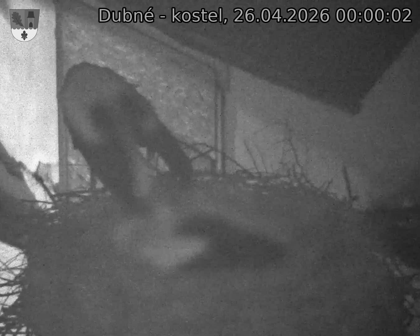 Capi_Dubne_20260426_000002.jpg (1350&nbsp;x&nbsp;1080)