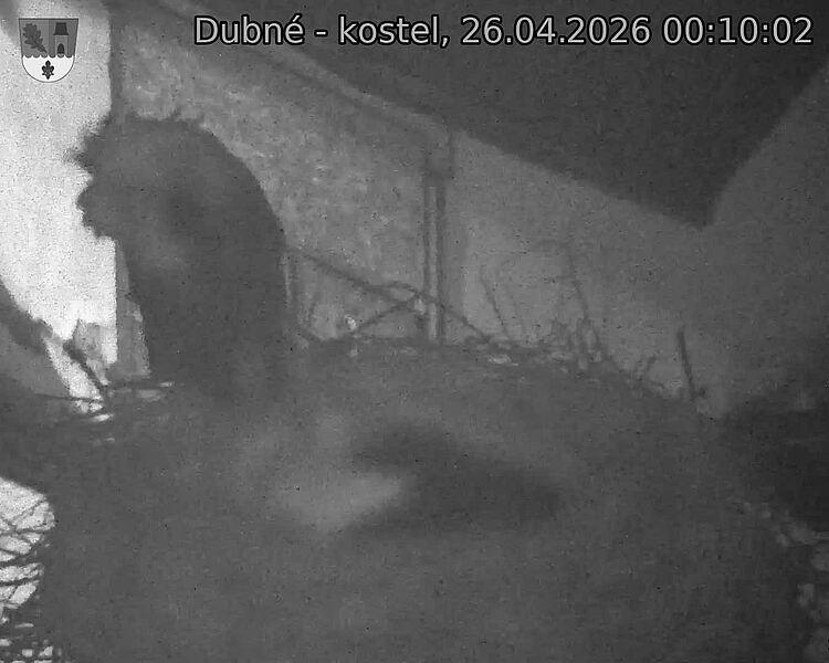 Capi_Dubne_20260426_001002.jpg (1350&nbsp;x&nbsp;1080)