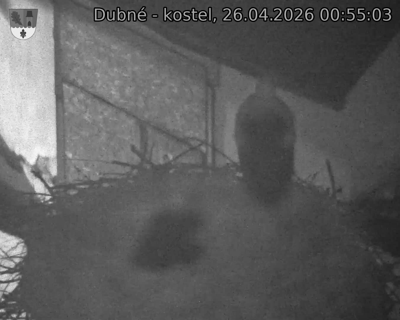 Capi_Dubne_20260426_005503.jpg (1350&nbsp;x&nbsp;1080)