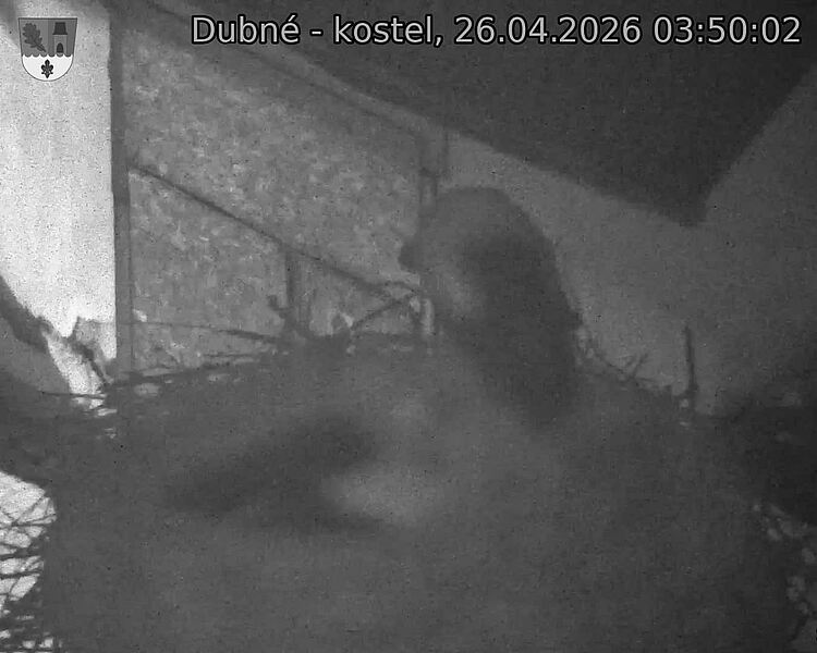 Capi_Dubne_20260426_035002.jpg (1350&nbsp;x&nbsp;1080)