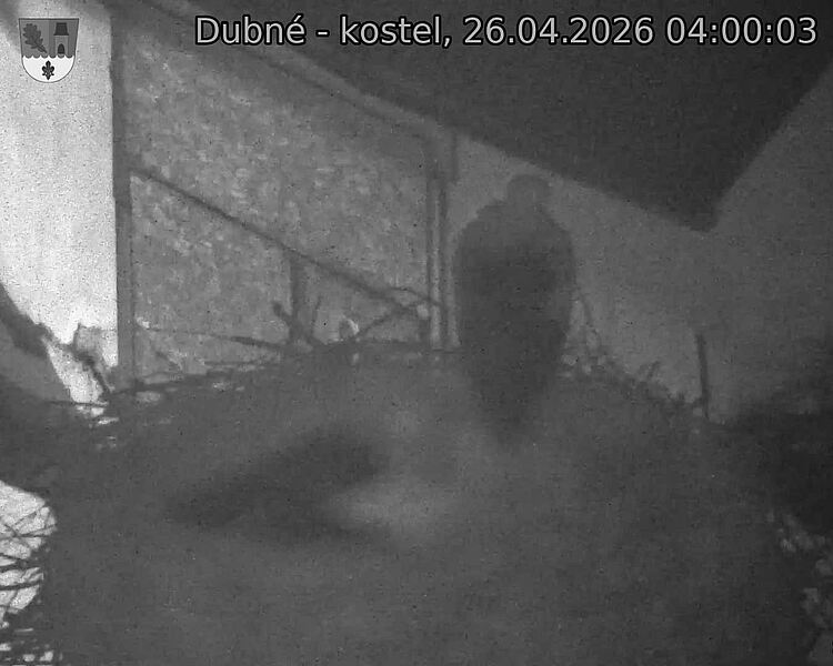 Capi_Dubne_20260426_040003.jpg (1350&nbsp;x&nbsp;1080)