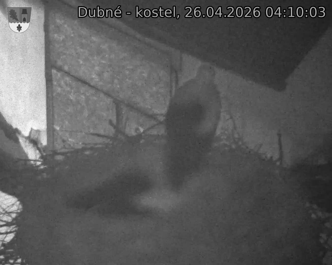 Capi_Dubne_20260426_041003.jpg (1350&nbsp;x&nbsp;1080)