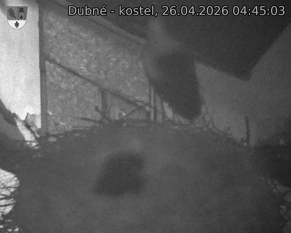 Capi_Dubne_20260426_044503.jpg (1350&nbsp;x&nbsp;1080)