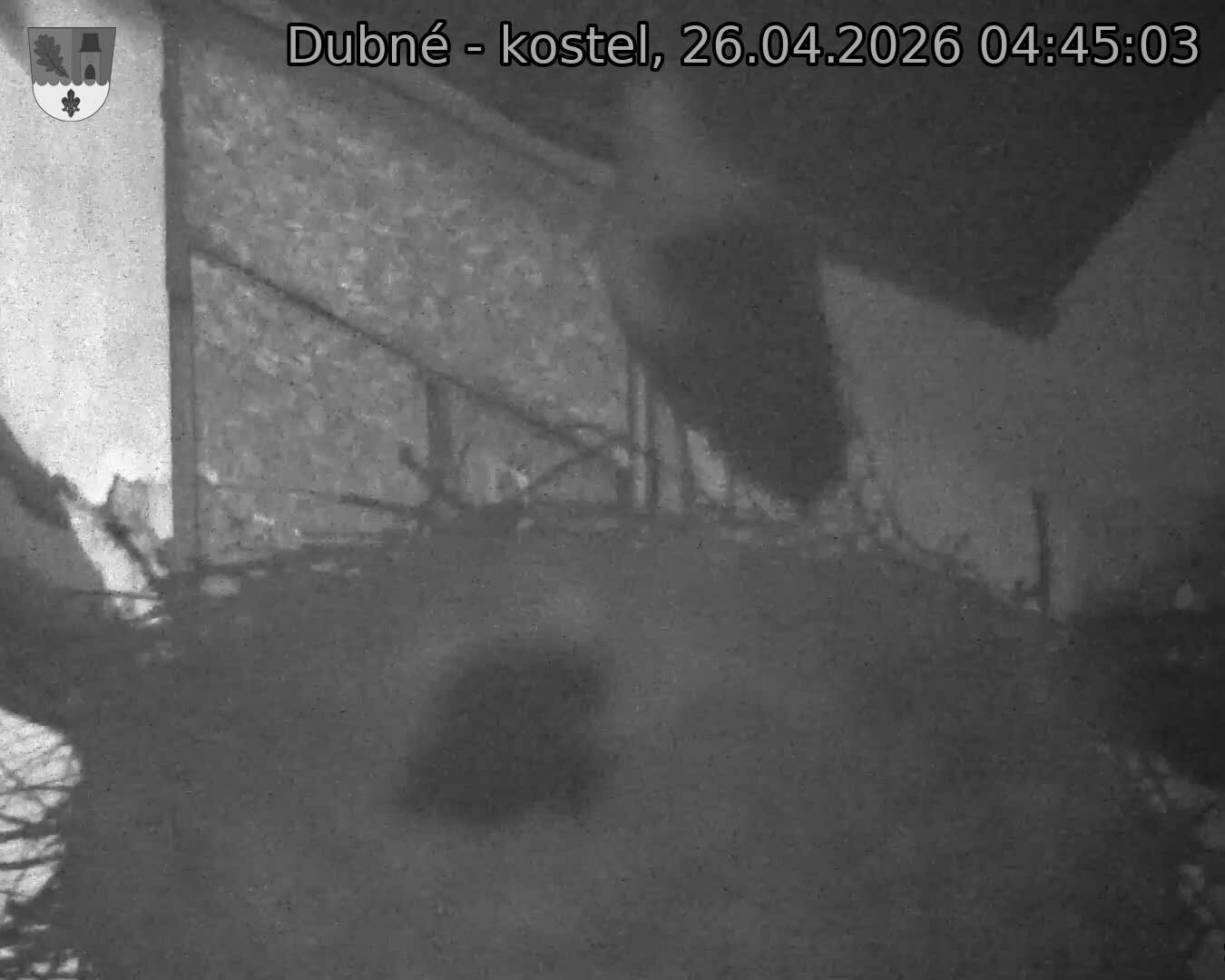 Capi_Dubne_20260426_044503.jpg (1350&nbsp;x&nbsp;1080)