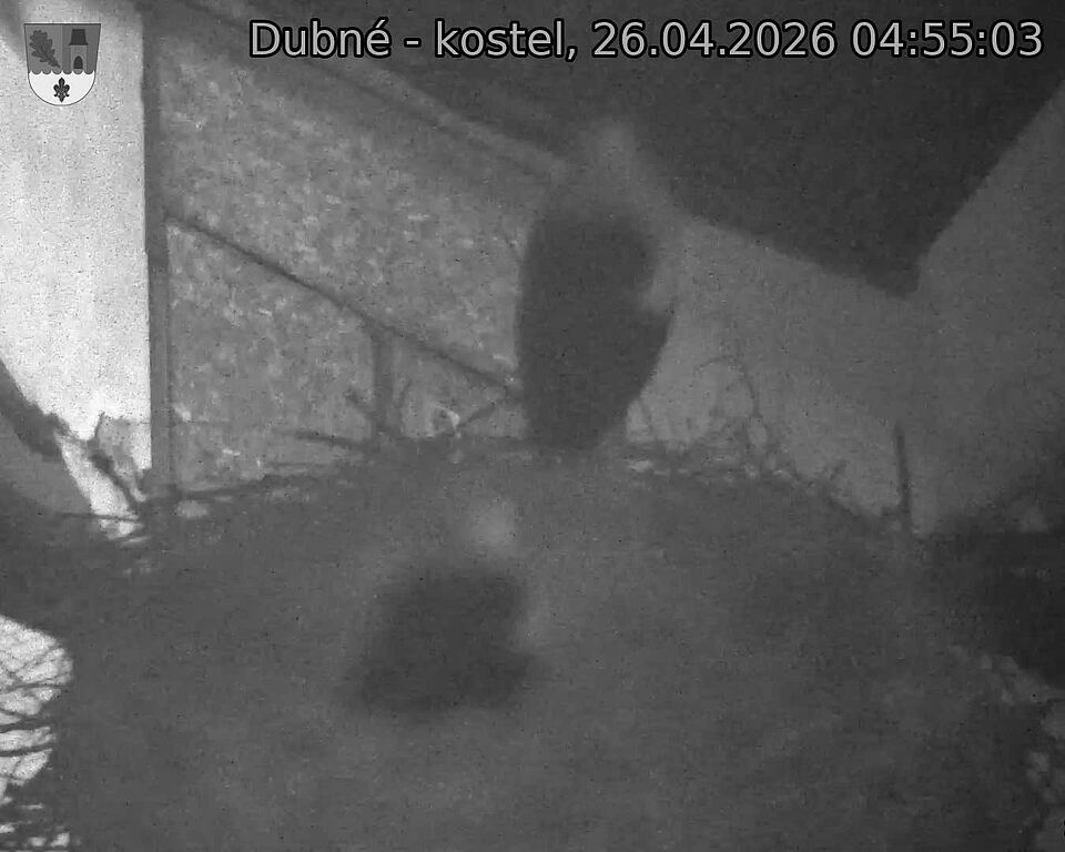 Capi_Dubne_20260426_045503.jpg (1350&nbsp;x&nbsp;1080)